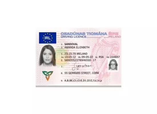 Irish Drivers License How To Get An Irish Drivers License Renew   1 55 